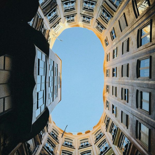 pexels-johnson-hie-753086688-31405640